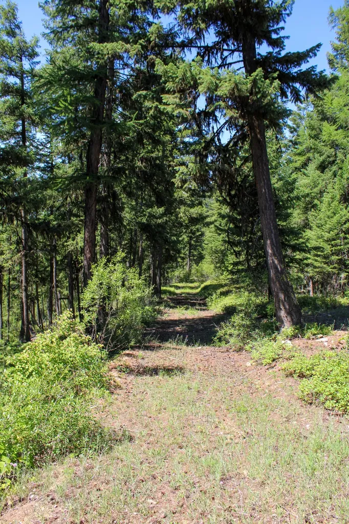 Tract 1 Pardee Flat Road Superior MT 59872
