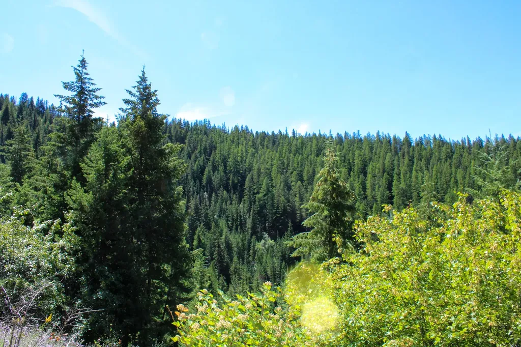 Tract 1 Pardee Flat Road Superior MT 59872