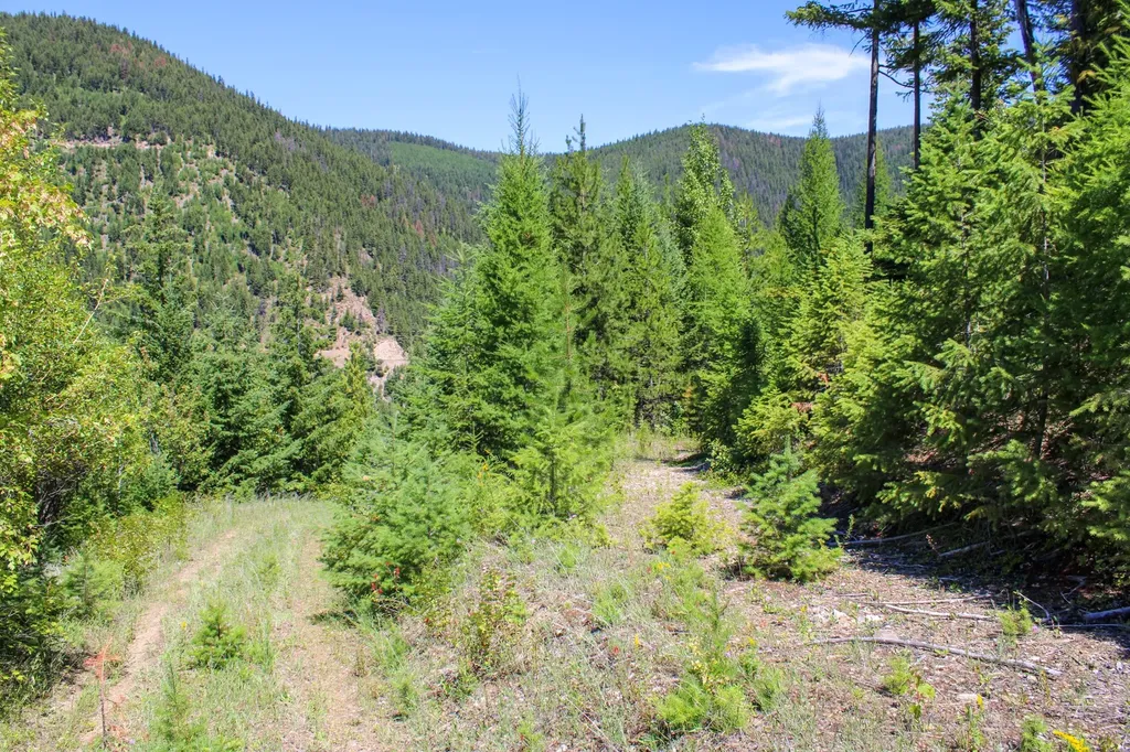 Tract 1 Pardee Flat Road Superior MT 59872
