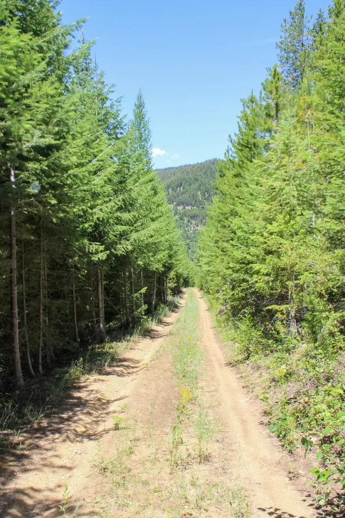 Tract 1 Pardee Flat Road Superior MT 59872