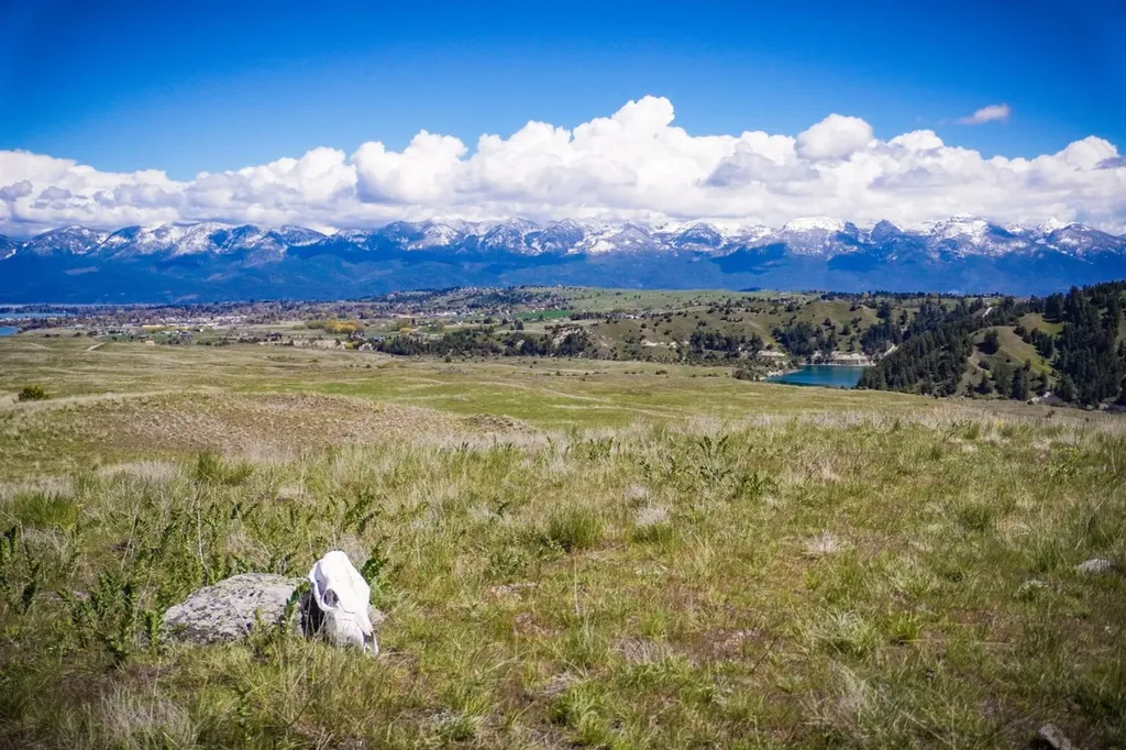 Nna Irvine Flats Road Polson MT 59860