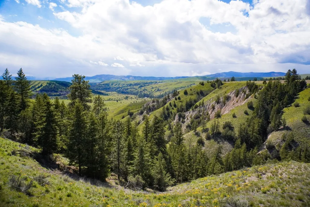 Nna Irvine Flats Road Polson MT 59860
