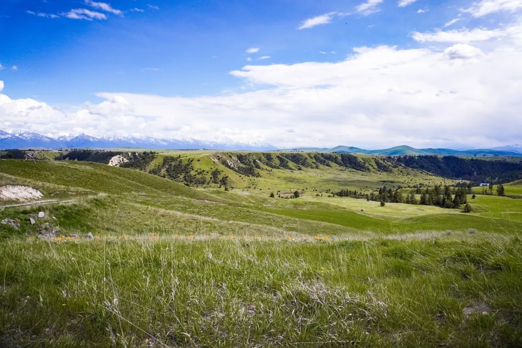 Nna Irvine Flats Road Polson MT 59860