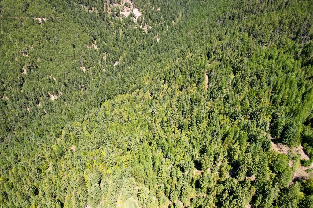 Tract 2 Pardee Flat Road Superior MT 59872