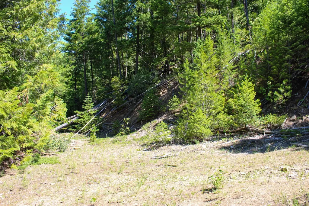 Tract 2 Pardee Flat Road Superior MT 59872