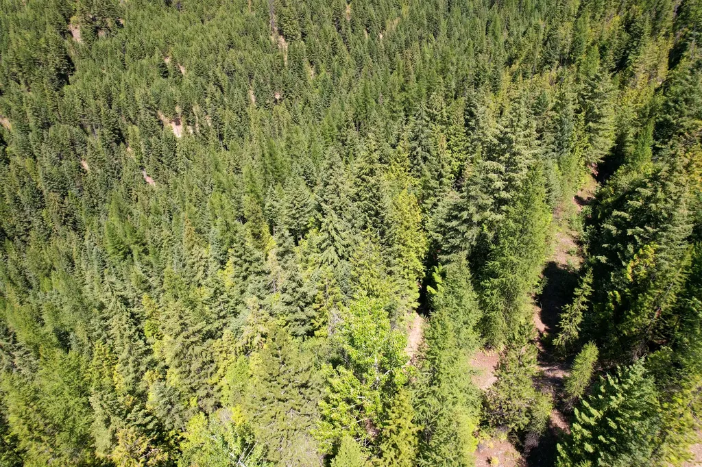 Tract 2 Pardee Flat Road Superior MT 59872
