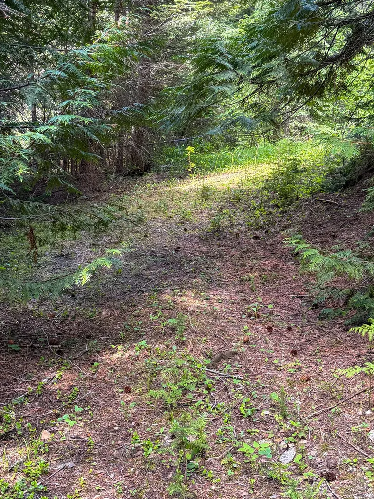 Tract 2 Pardee Flat Road Superior MT 59872