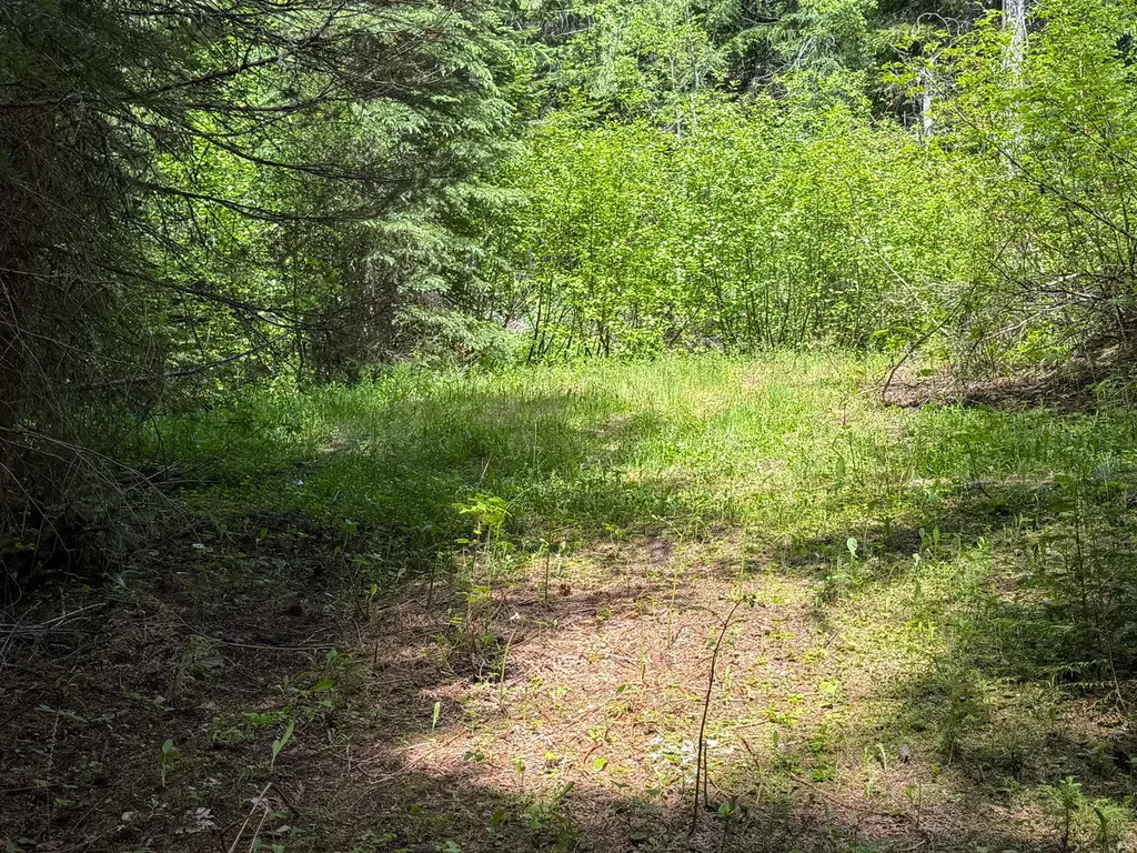 Tract 2 Pardee Flat Road Superior MT 59872