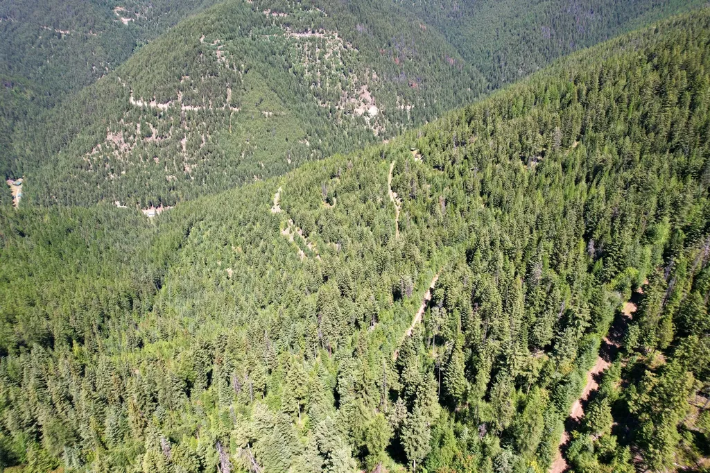 Tract 2 Pardee Flat Road Superior MT 59872