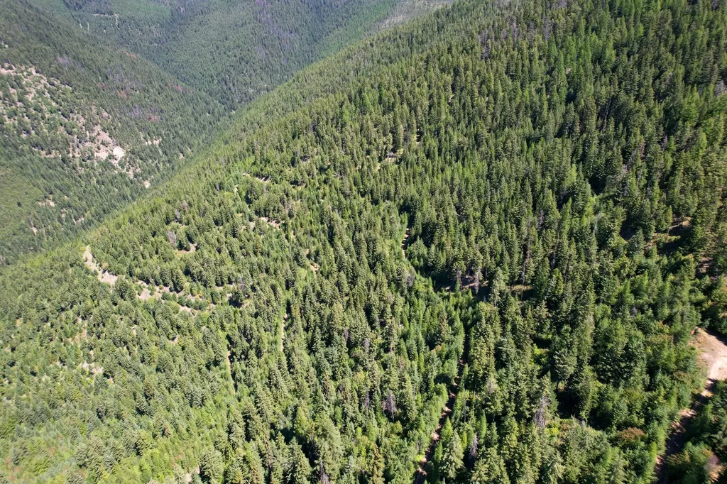 Tract 2 Pardee Flat Road Superior MT 59872