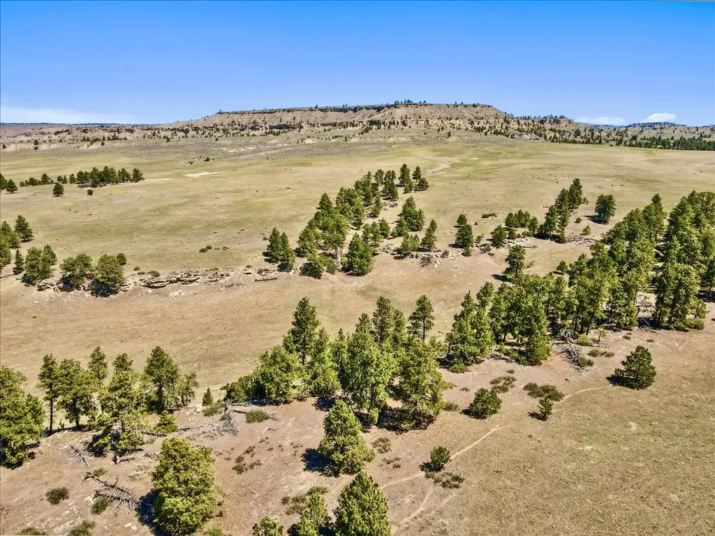 0 Miller Butte Park City MT 59063