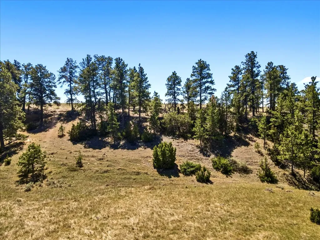 0 Miller Butte Park City MT 59063