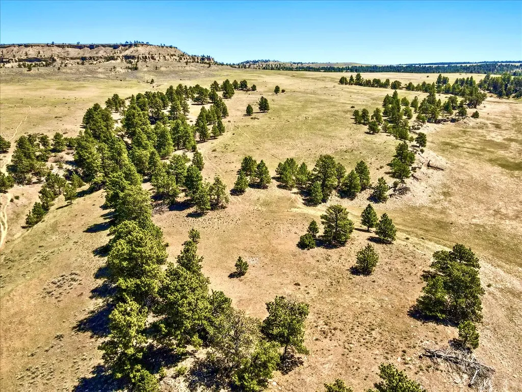 0 Miller Butte Park City MT 59063