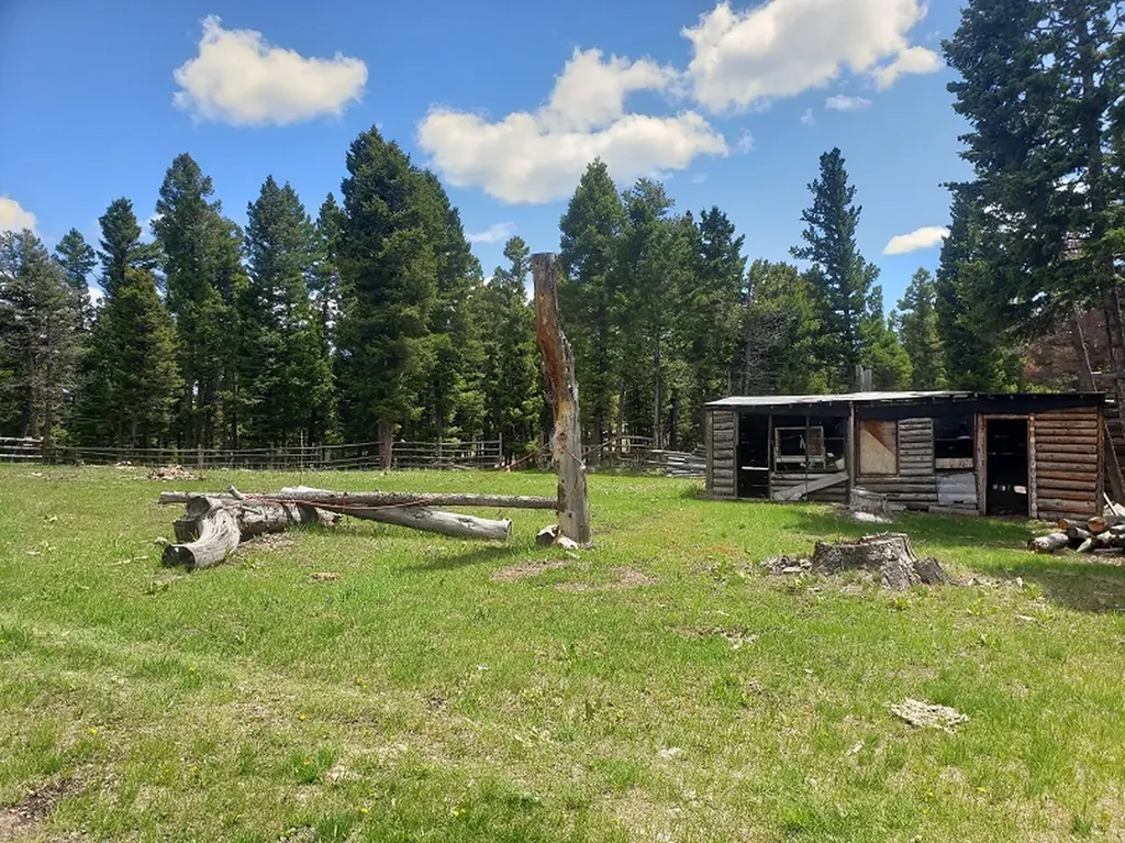 513 Spruce Gulch Road Helmville MT 59843