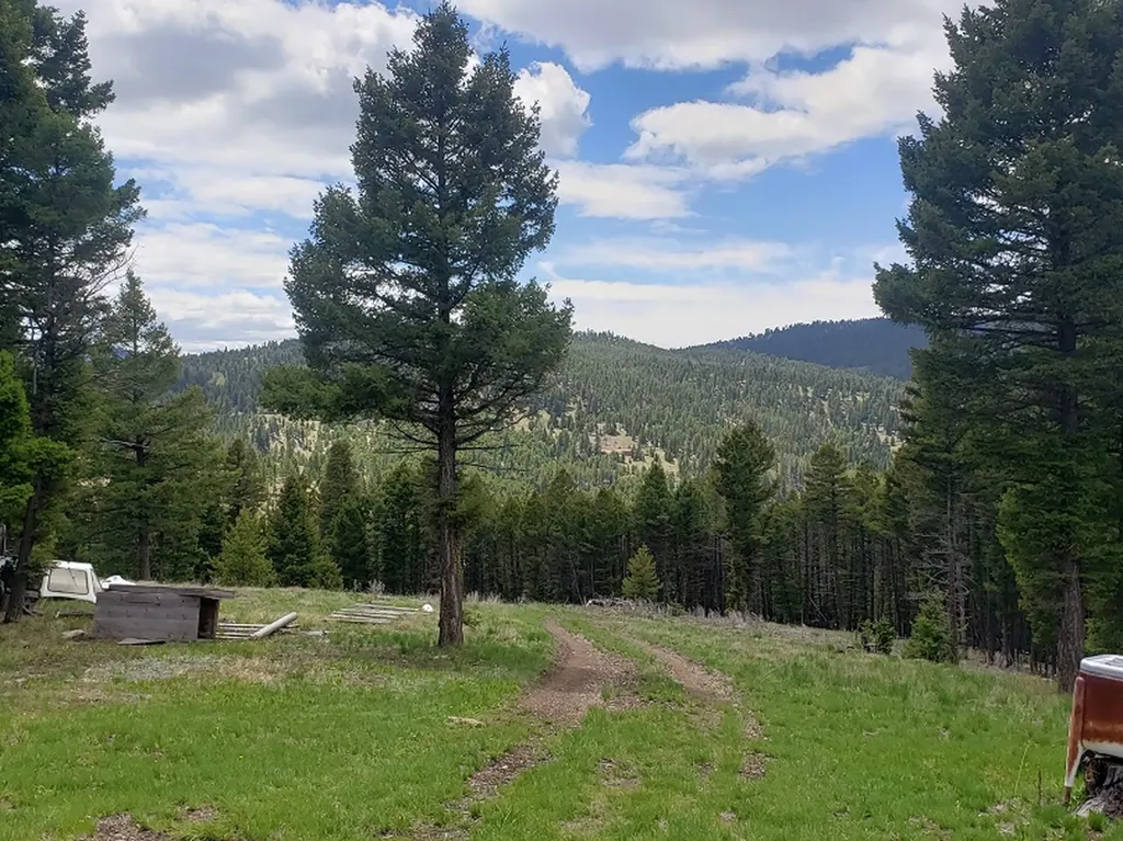 513 Spruce Gulch Road Helmville MT 59843