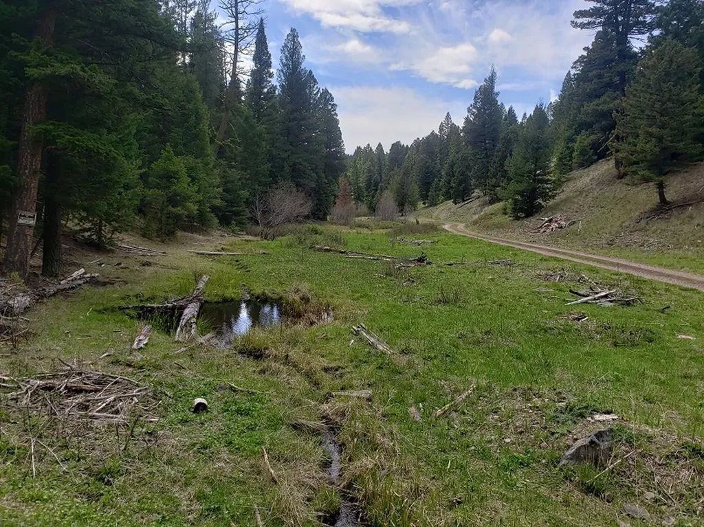 513 Spruce Gulch Road Helmville MT 59843