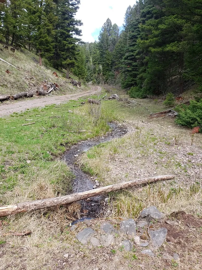 513 Spruce Gulch Road Helmville MT 59843