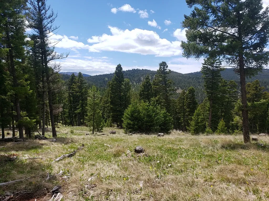 513 Spruce Gulch Road Helmville MT 59843