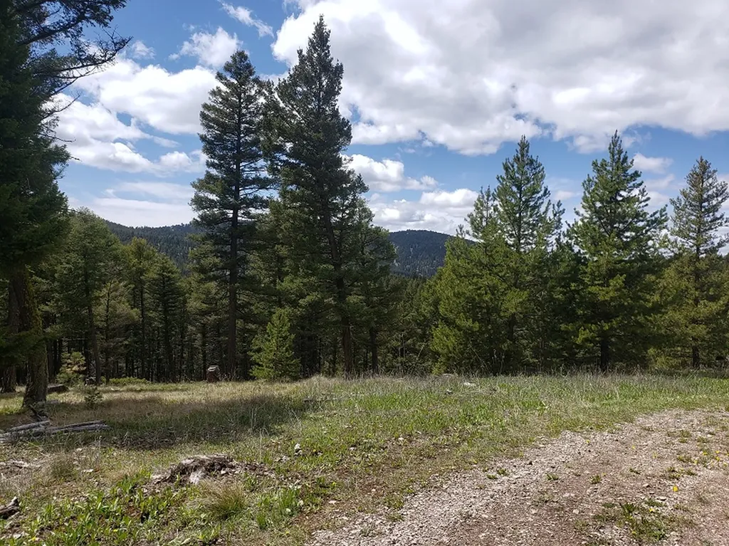 513 Spruce Gulch Road Helmville MT 59843
