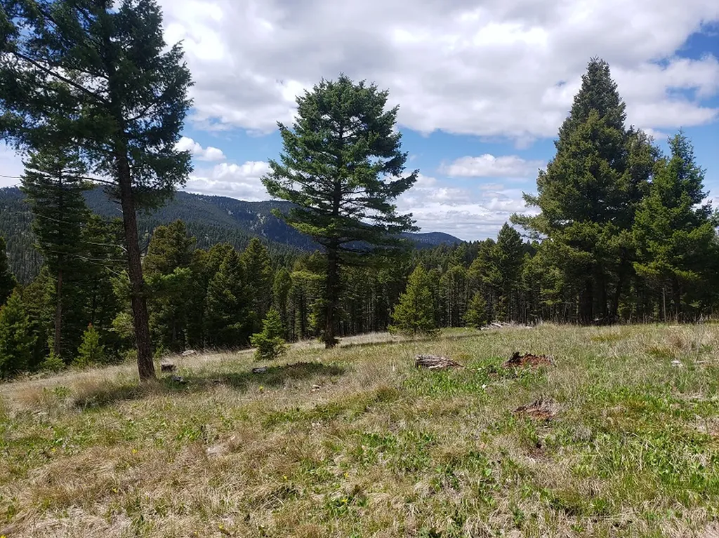 513 Spruce Gulch Road Helmville MT 59843