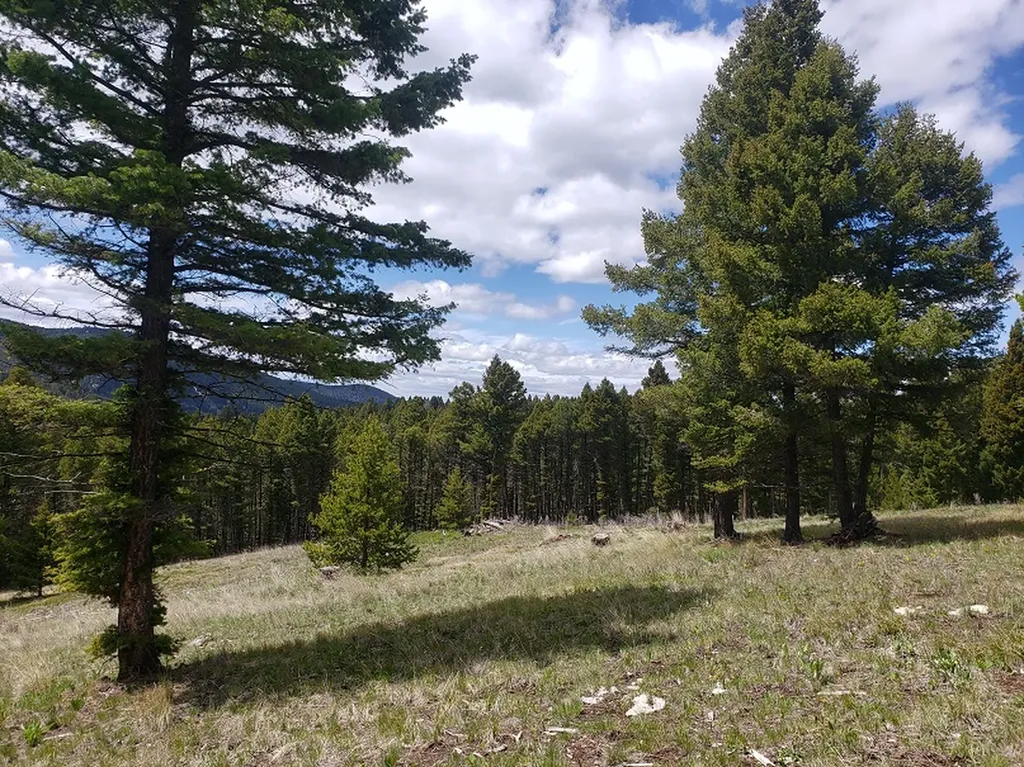 513 Spruce Gulch Road Helmville MT 59843