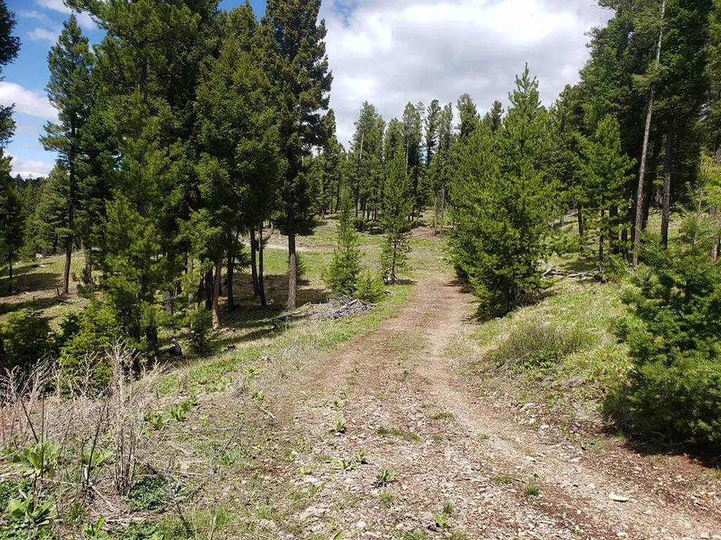 513 Spruce Gulch Road Helmville MT 59843