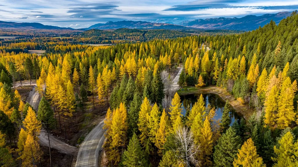 1173 Whitefish Ridge Road Whitefish MT 59937