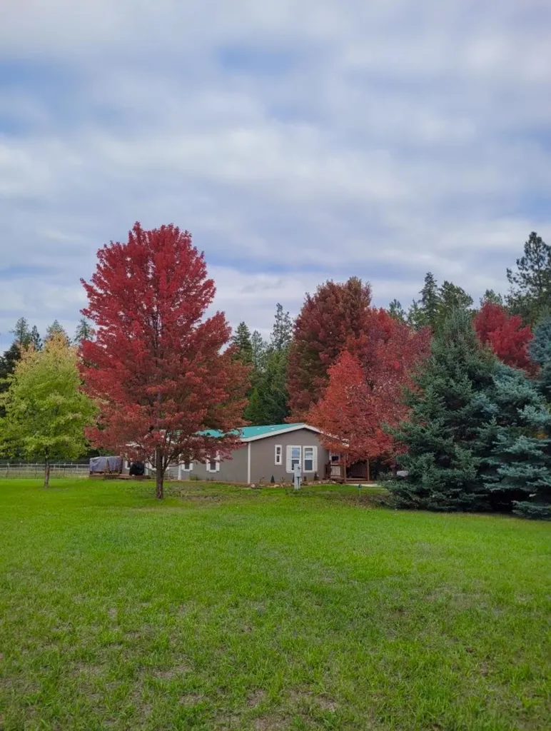 57 Pioneer Lane St Regis MT 59866