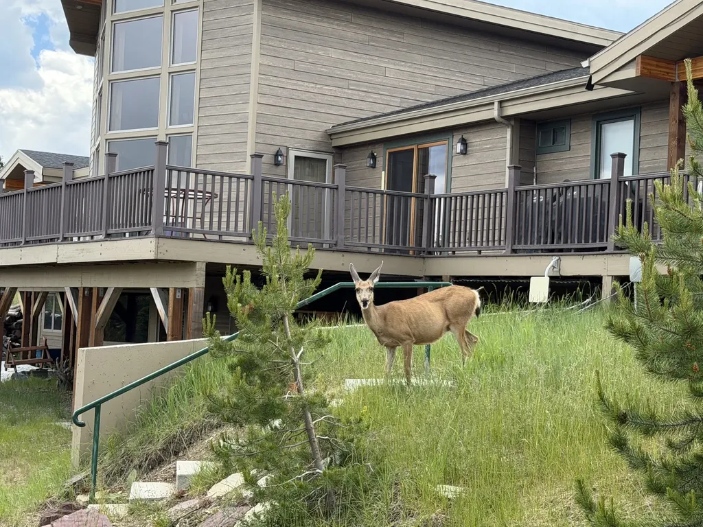 71 Piney Point Road Anaconda MT 59711