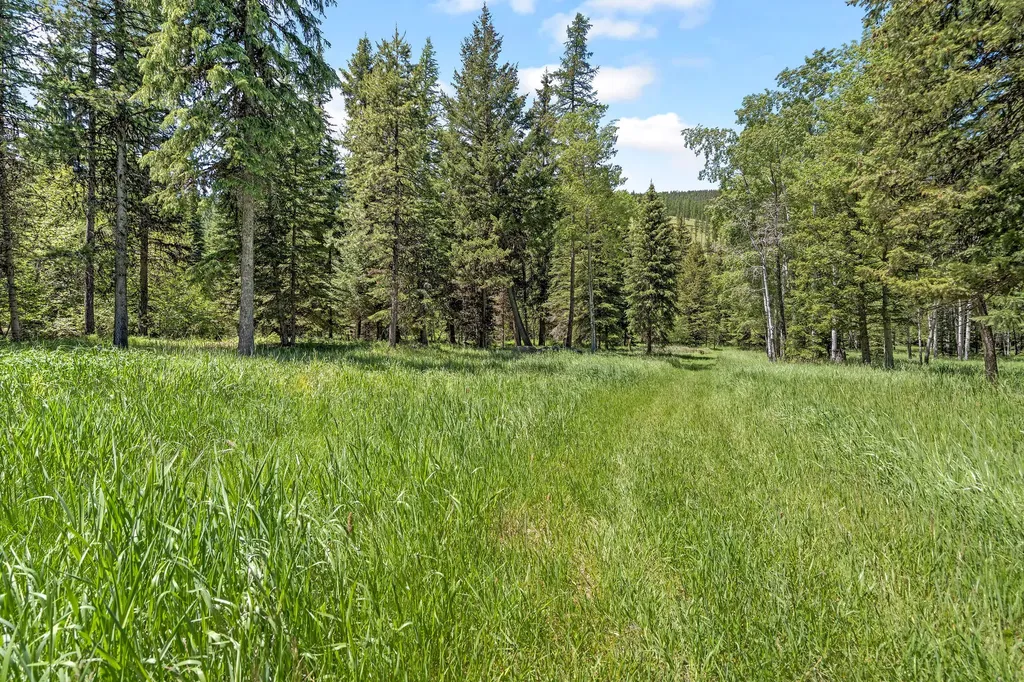 2651 Wild Bill Road Kila MT 59920