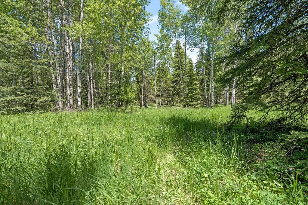 2651 Wild Bill Road Kila MT 59920
