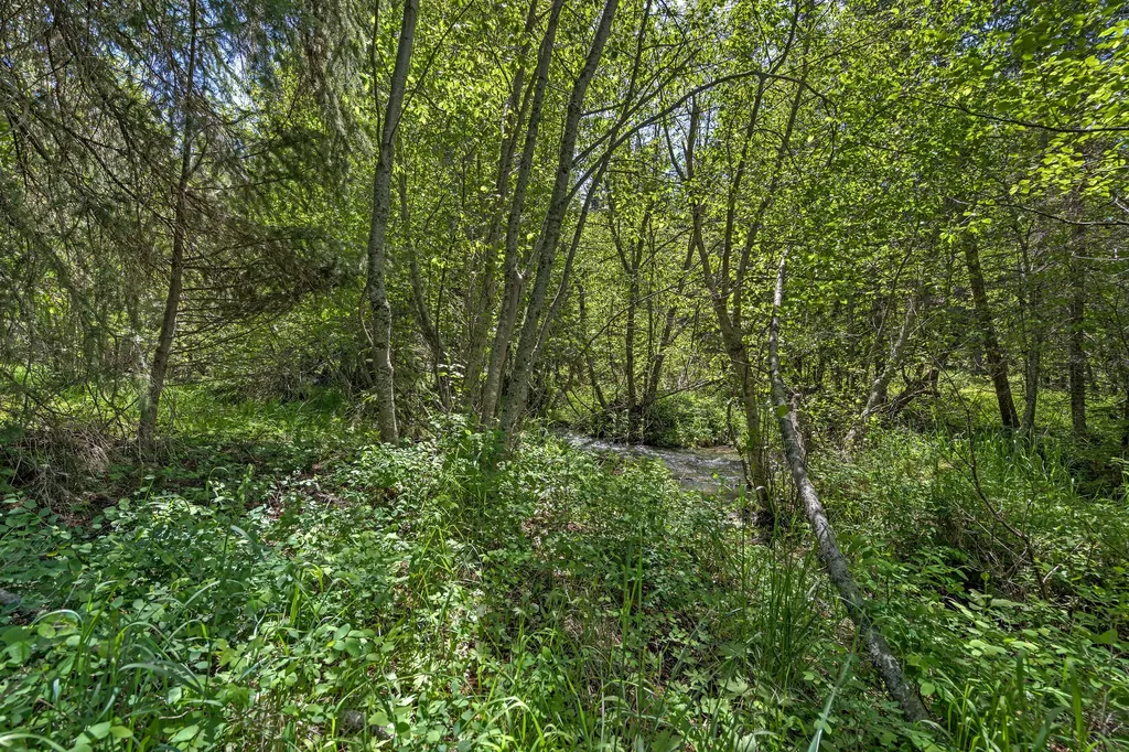 2651 Wild Bill Road Kila MT 59920