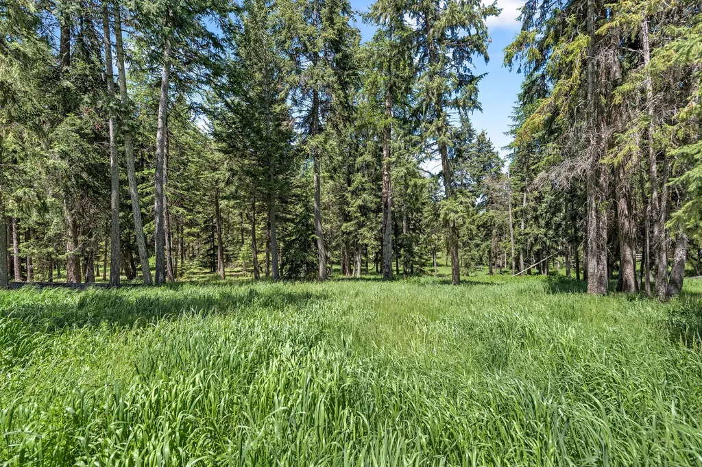 2651 Wild Bill Road Kila MT 59920