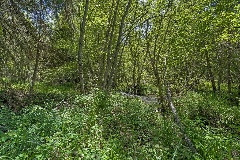 2651 Wild Bill Road Kila MT 59920