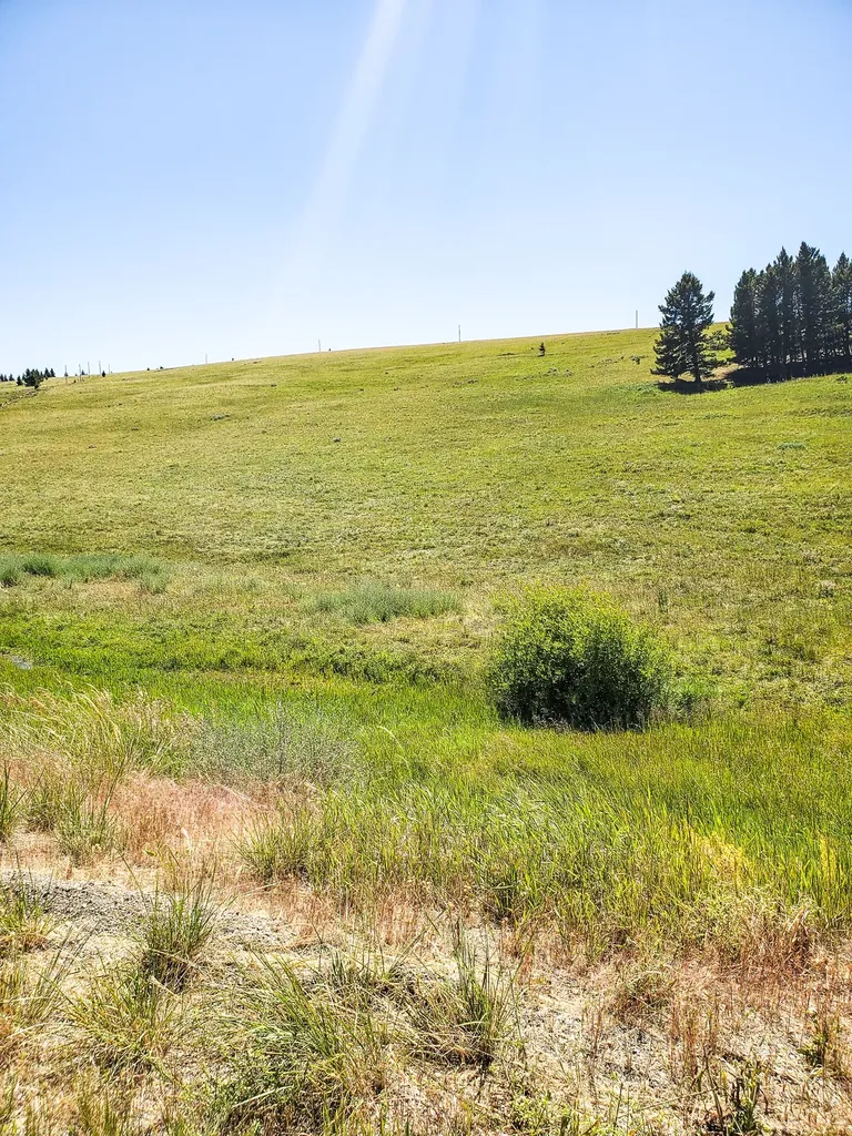 Tbd Upper Deep Creek Townsend MT 59644