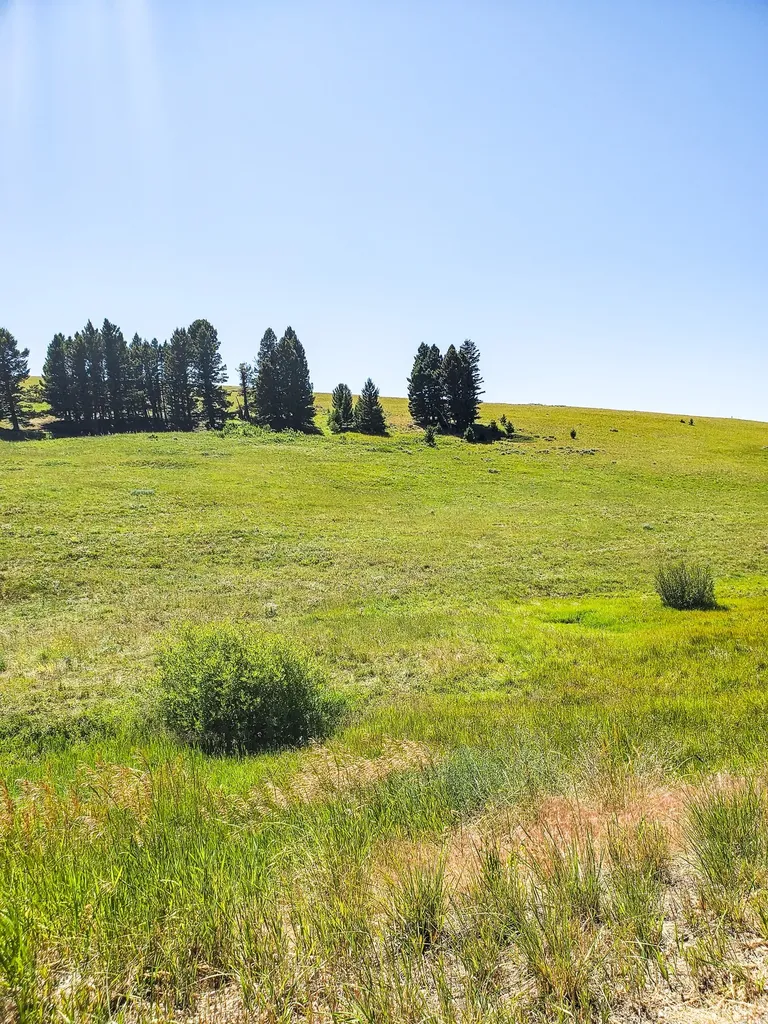 Tbd Upper Deep Creek Townsend MT 59644