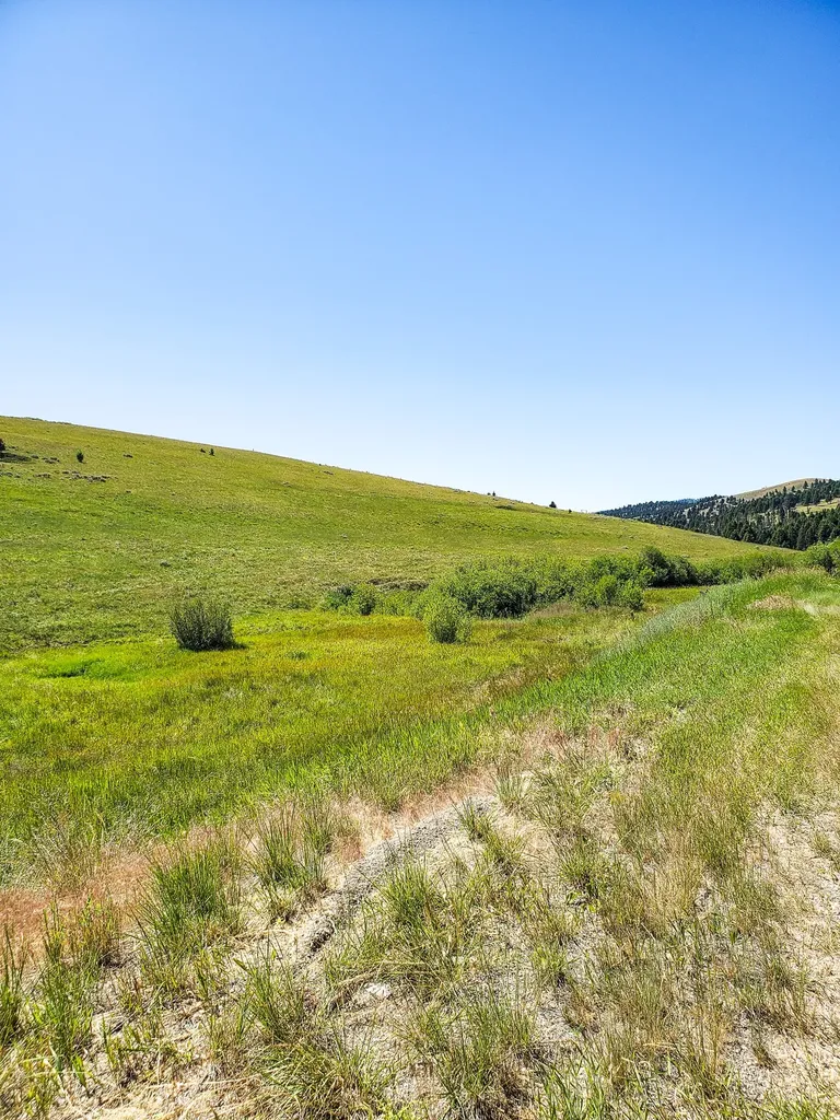Tbd Upper Deep Creek Townsend MT 59644