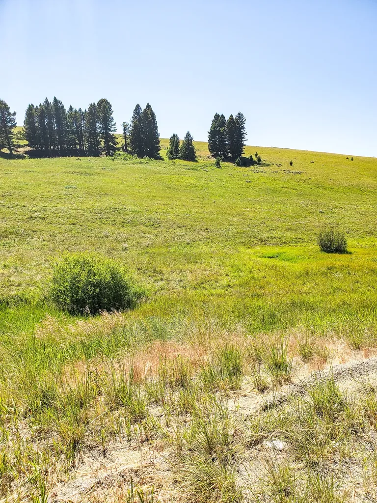 Tbd Upper Deep Creek Townsend MT 59644