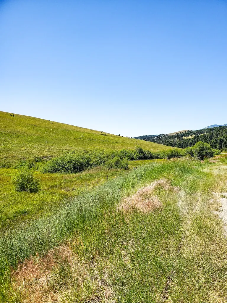 Tbd Upper Deep Creek Townsend MT 59644