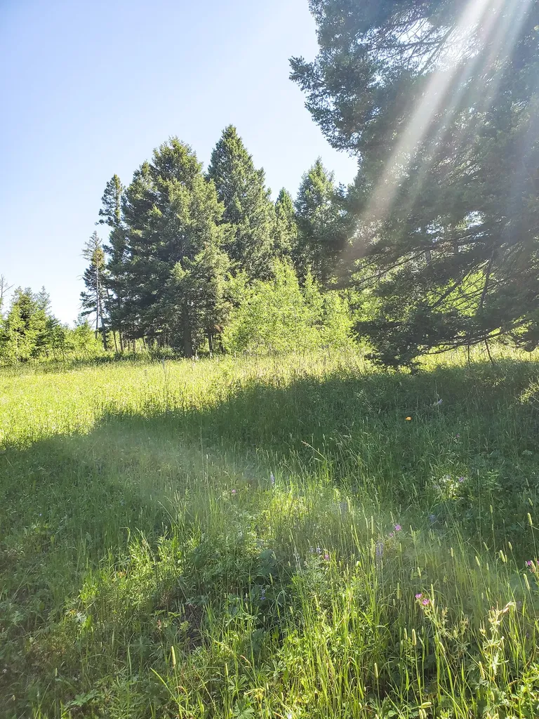 Tbd Upper Deep Creek Townsend MT 59644
