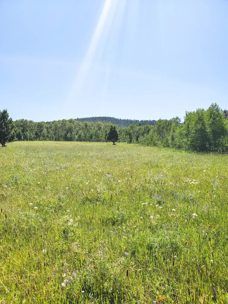 Tbd Upper Deep Creek Townsend MT 59644