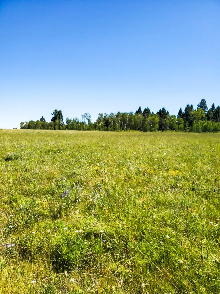 Tbd Upper Deep Creek Townsend MT 59644
