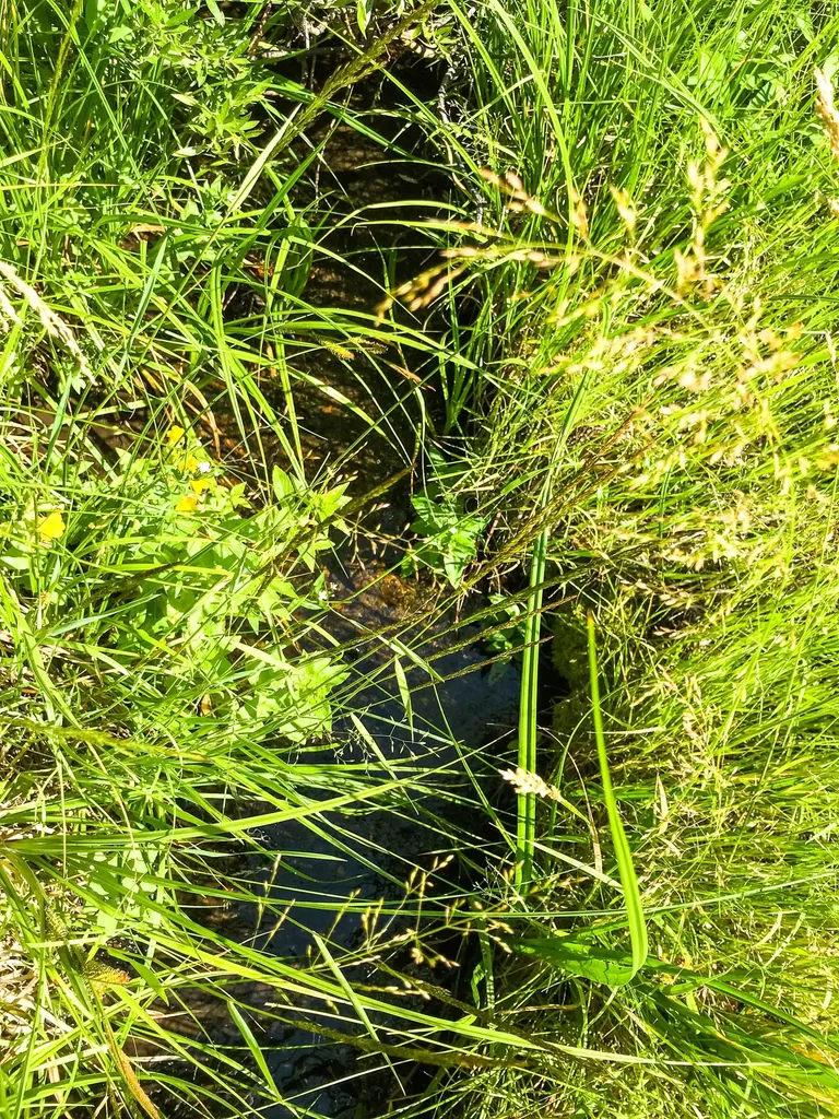 Tbd Upper Deep Creek Townsend MT 59644