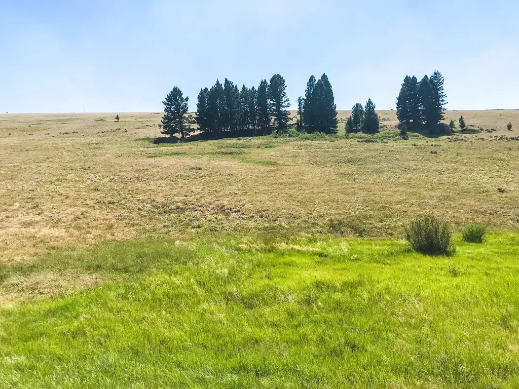 Tbd Upper Deep Creek Townsend MT 59644
