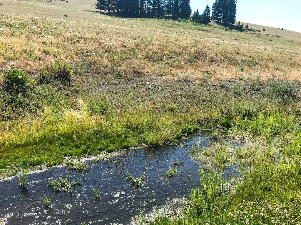 Tbd Upper Deep Creek Townsend MT 59644