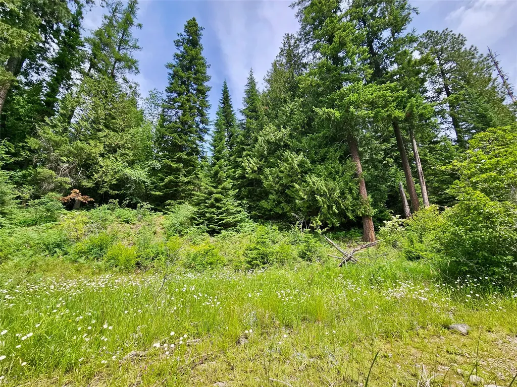 39 Hay Lane Noxon MT 59853