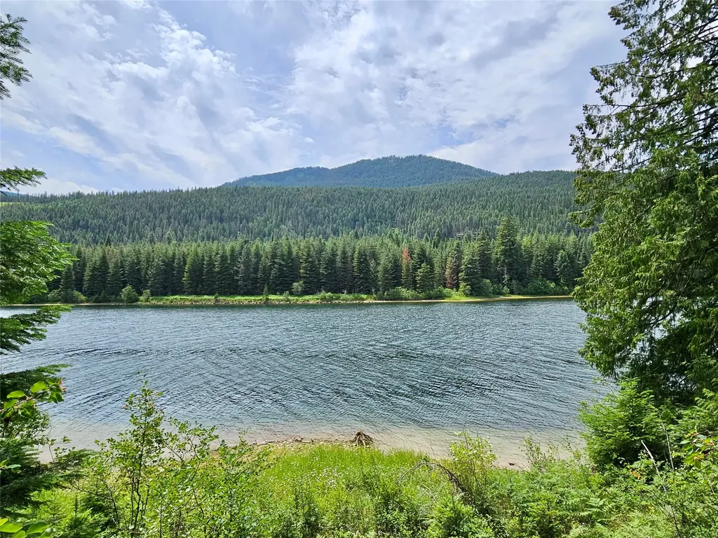 39 Hay Lane Noxon MT 59853