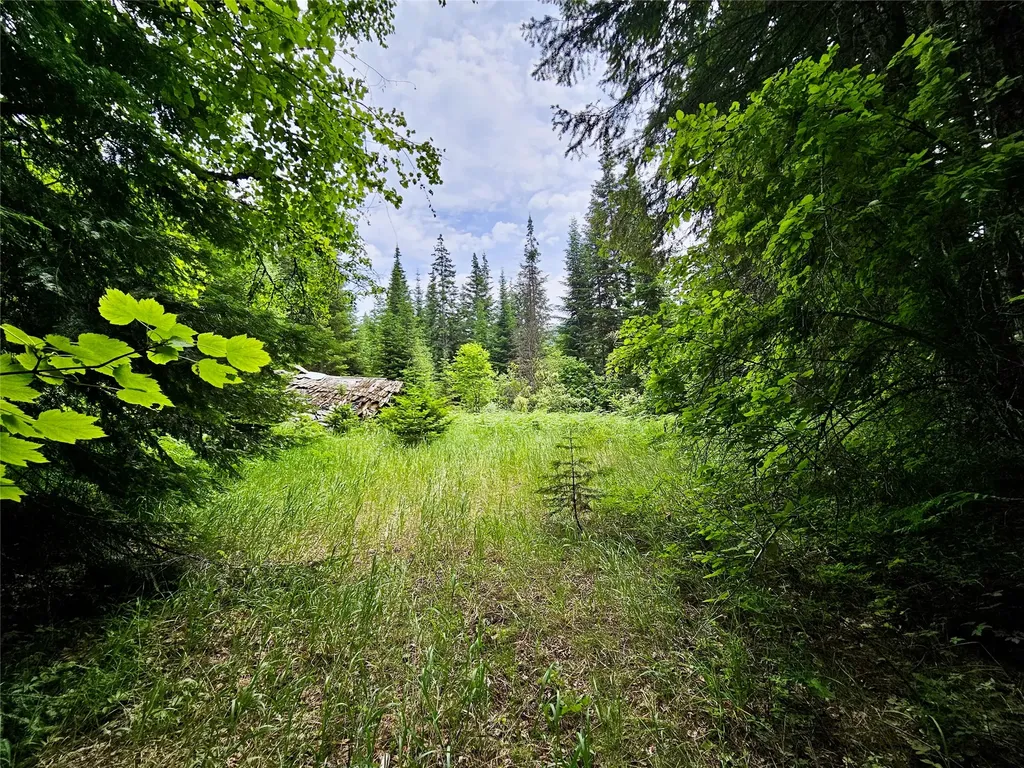 39 Hay Lane Noxon MT 59853