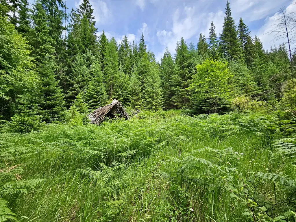39 Hay Lane Noxon MT 59853