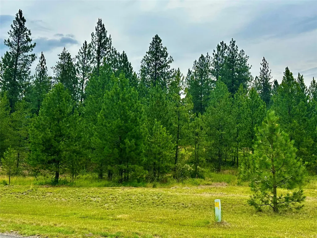 Nhn Mahonia Road Plains MT 59859